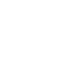 The Carapace